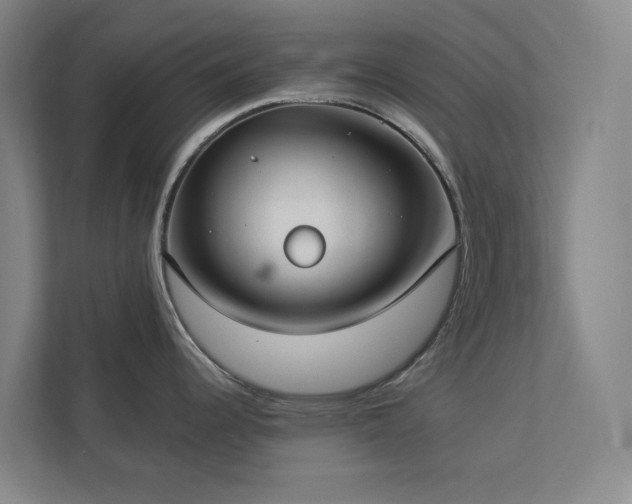 X0000112911344200908241158