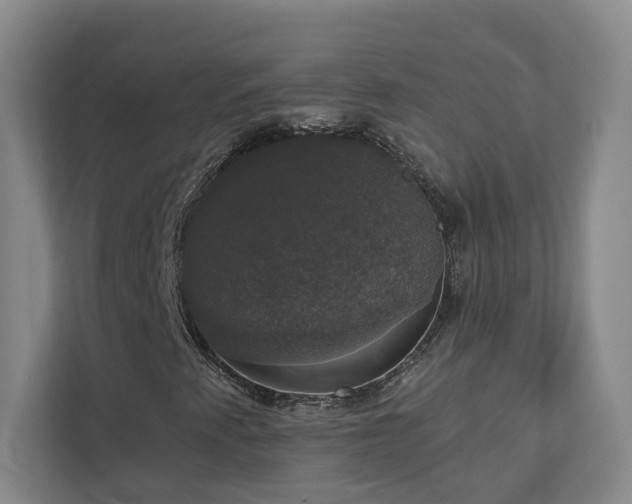 X0000112911345200908241157