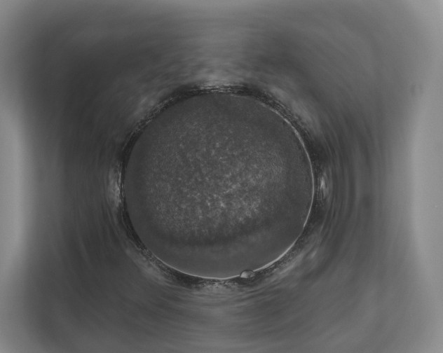 X0000112911348200908241157