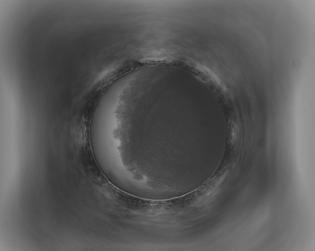 X0000112911350200908241157