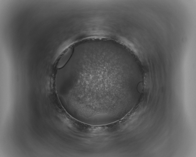 X0000112911352200908241157