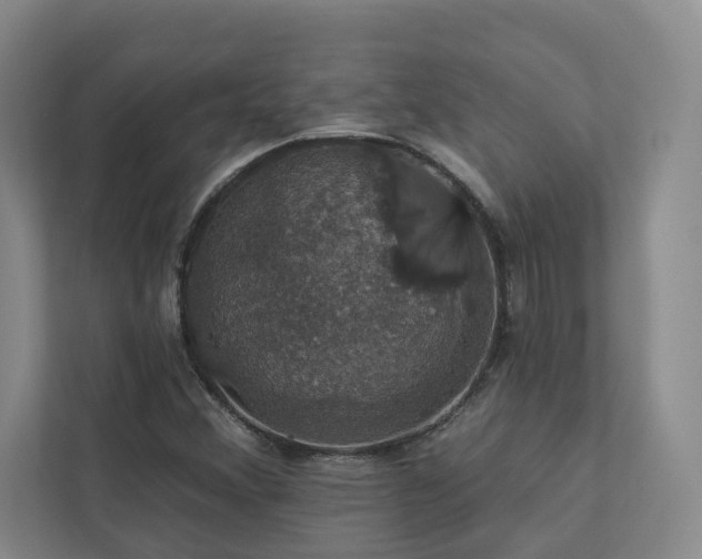 X0000112911356200908241157