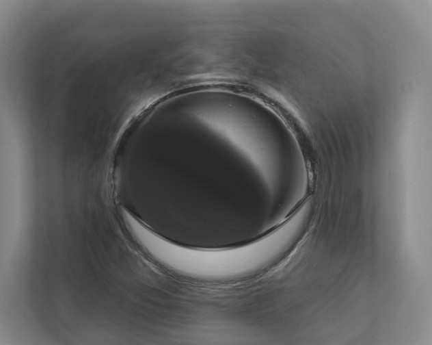 X0000112911357200908241157