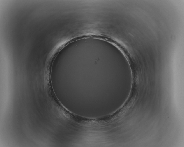 X0000112911359200908241157