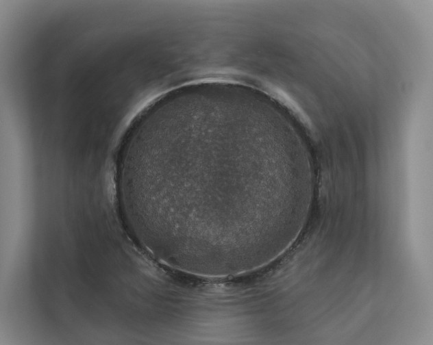 X0000112911360200908241157