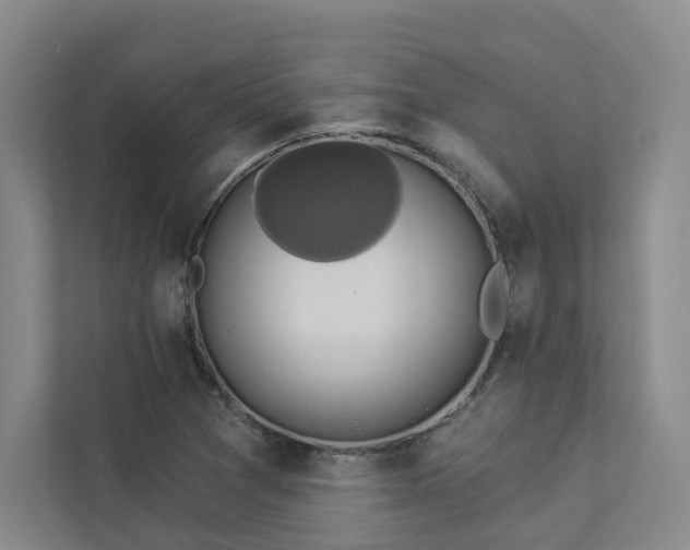 X0000112911361200908241157