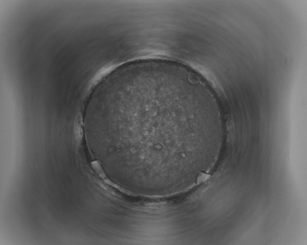 X0000112911363200908241157
