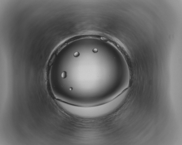 X0000112911364200908241157