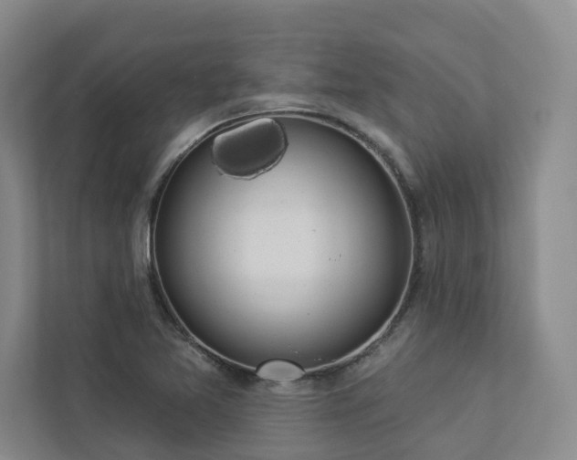 X0000112911365200908241157