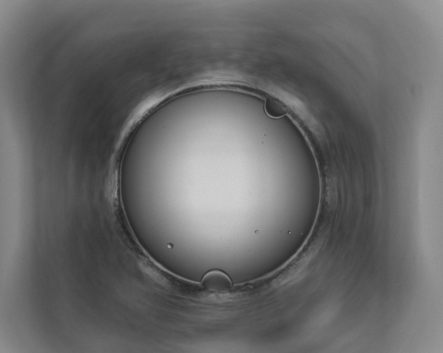 X0000112911366200908241157