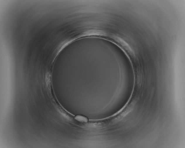 X0000112911369200908241157
