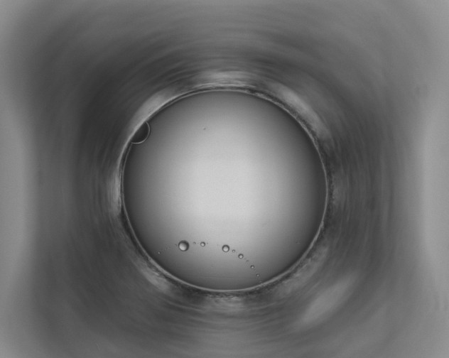 X0000112911370200908241157