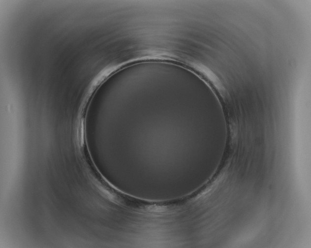 X0000112911371200908241157