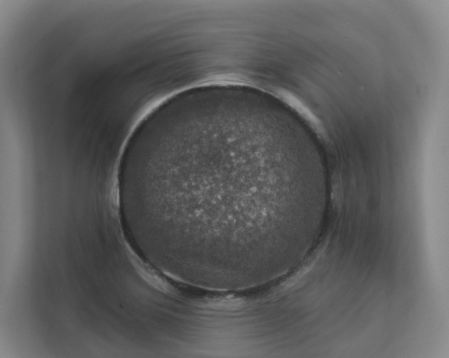 X0000112911372200908241157