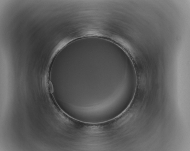X0000112911373200908241157