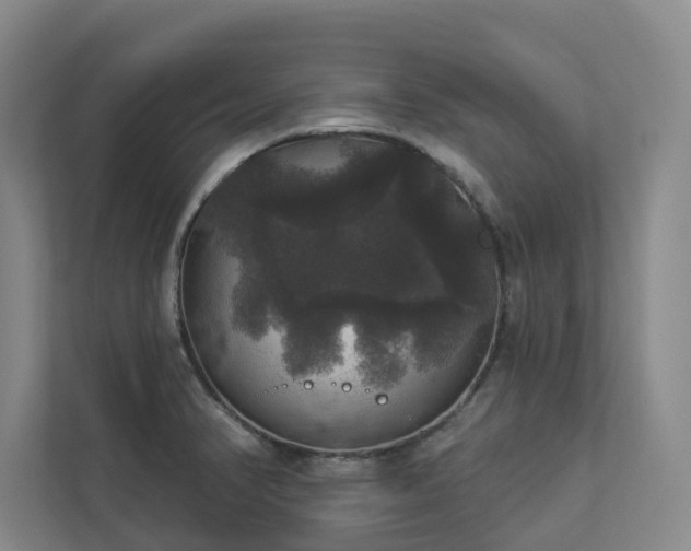 X0000112911374200908241157