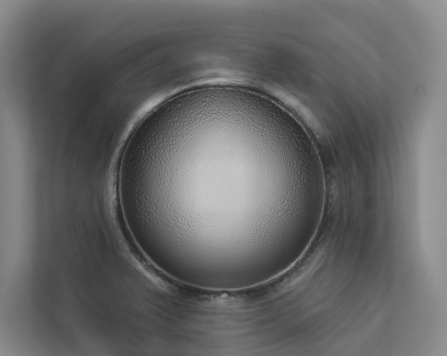X0000112911375200908241157