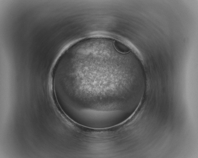 X0000112911376200908241157