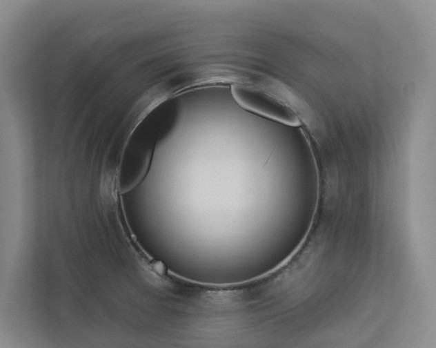X0000112911377200908241157