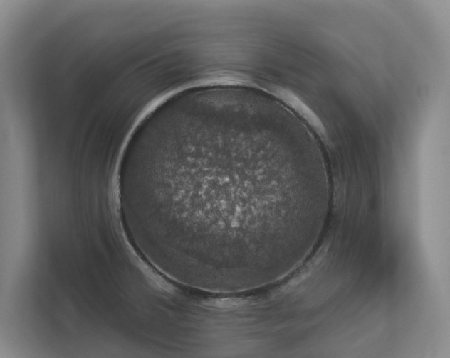 X0000112911380200908241157