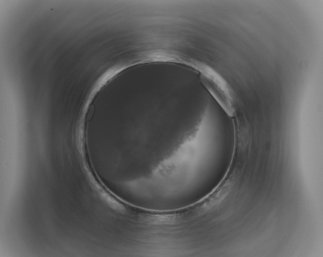 X0000112911381200908241157