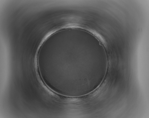X0000112911382200908241157