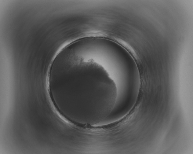 X0000112911383200908241157