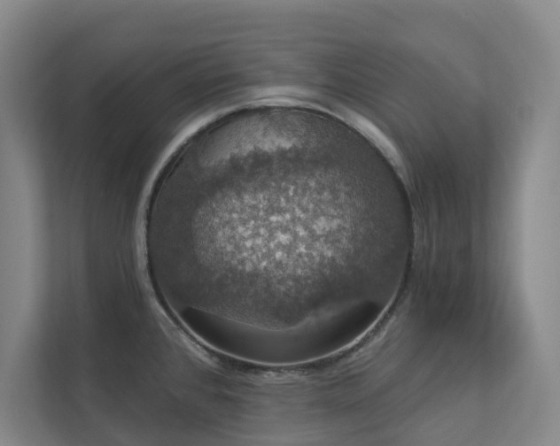 X0000112911384200908241157