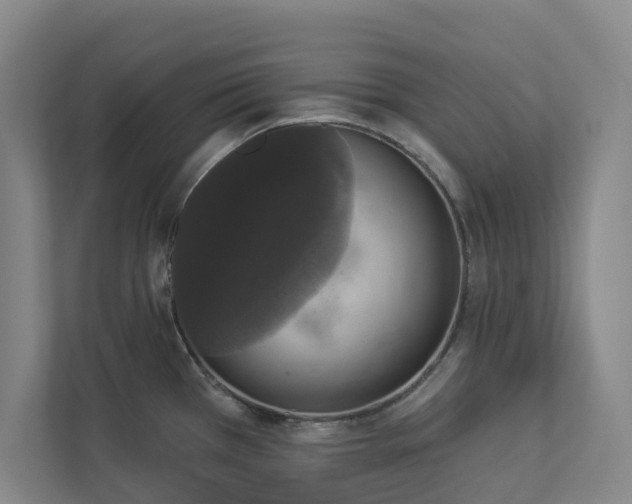 X0000112911385200908241157