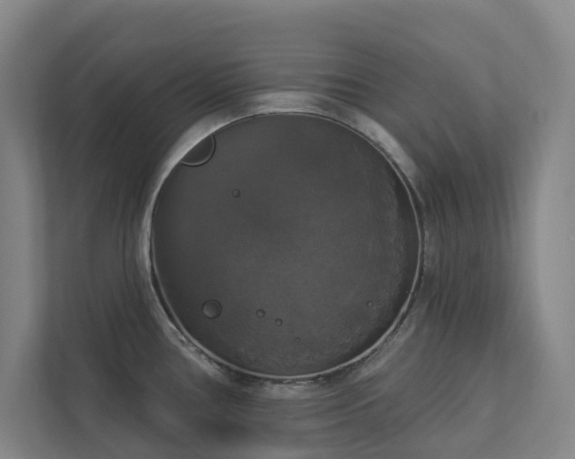 X0000112911386200908241157