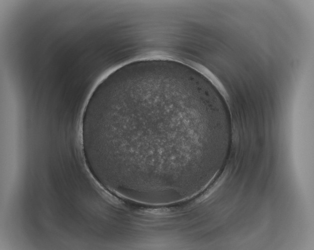 X0000112911388200908241157