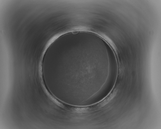 X0000112911389200908241157