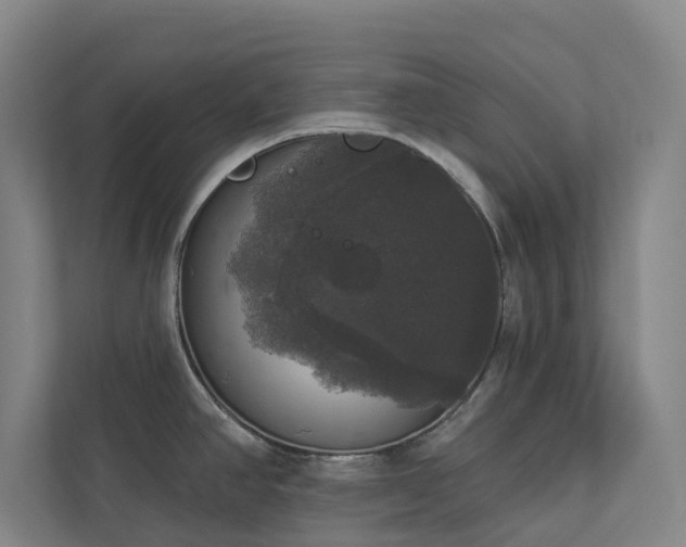 X0000112911390200908241157