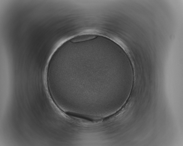 X0000112911392200908241157