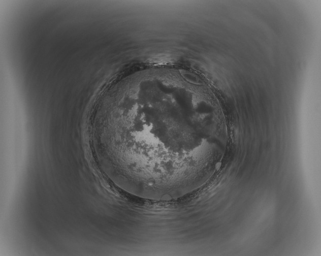 X0000112911393200908241156