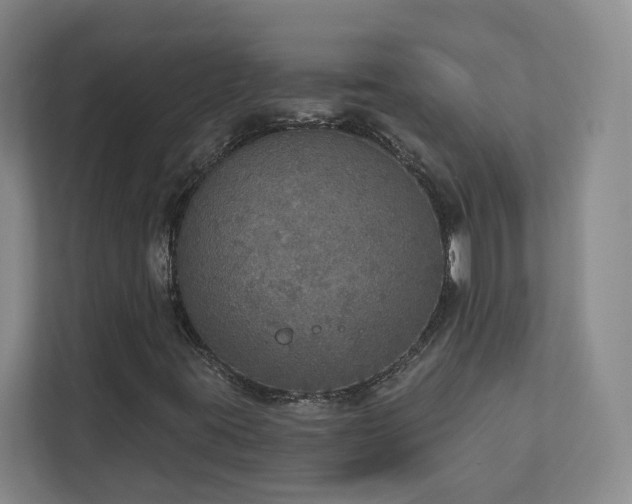 X0000112911395200908241156