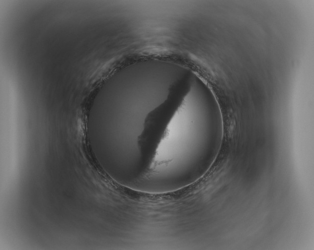 X0000112911397200908241156