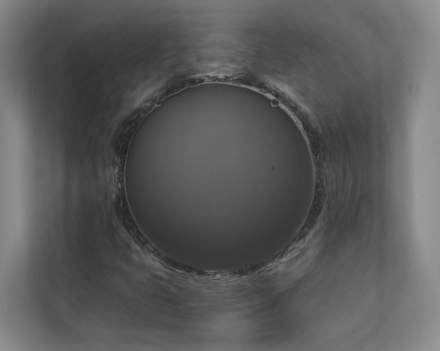 X0000112911399200908241156