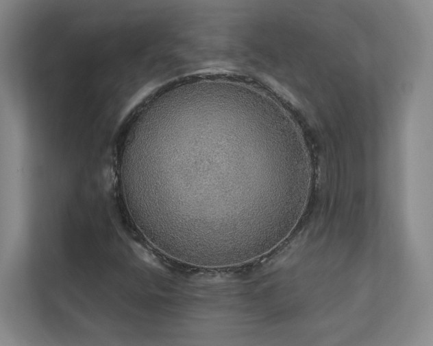 X0000112911400200908241156