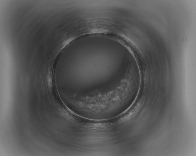 X0000112911401200908241156