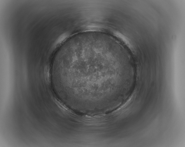X0000112911403200908241156
