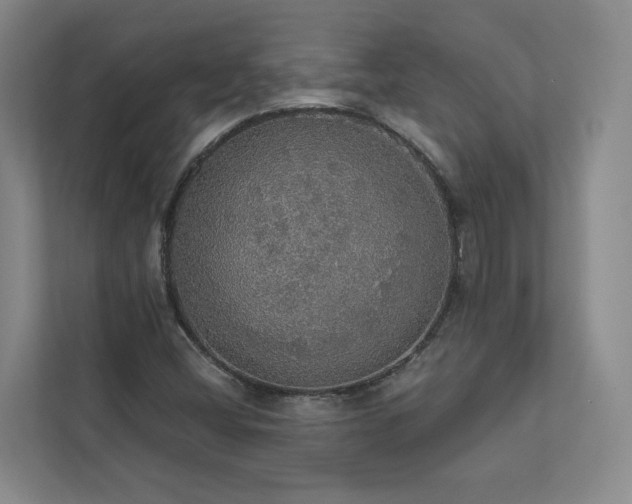 X0000112911404200908241156