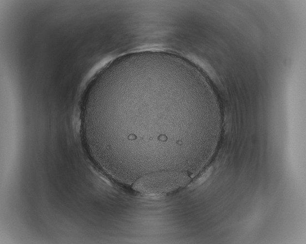 X0000112911406200908241156