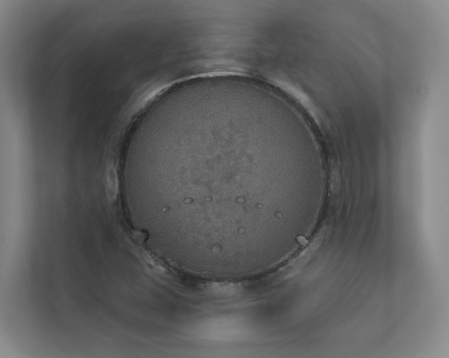 X0000112911407200908241156