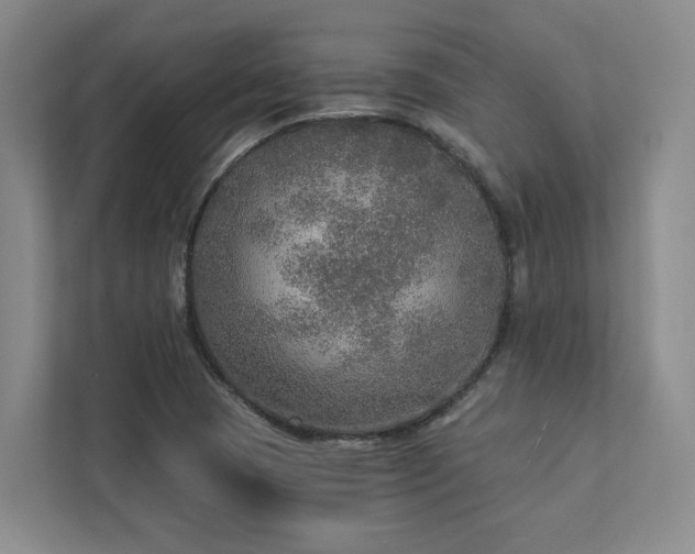 X0000112911409200908241156