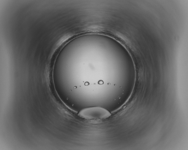 X0000112911410200908241156