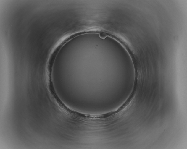 X0000112911414200908241156