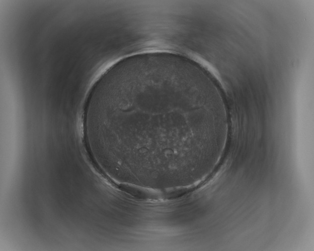 X0000112911415200908241156