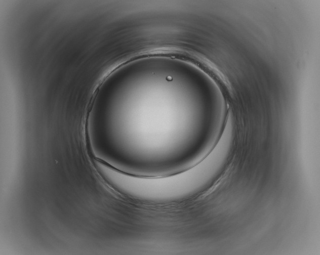 X0000112911417200908241156