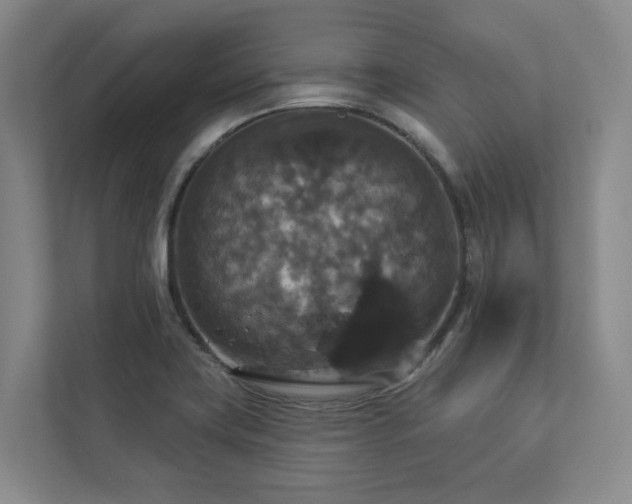 X0000112911419200908241157